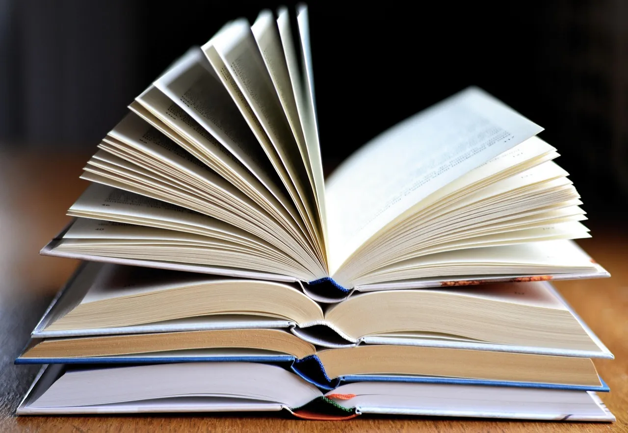 libro minimalistamente