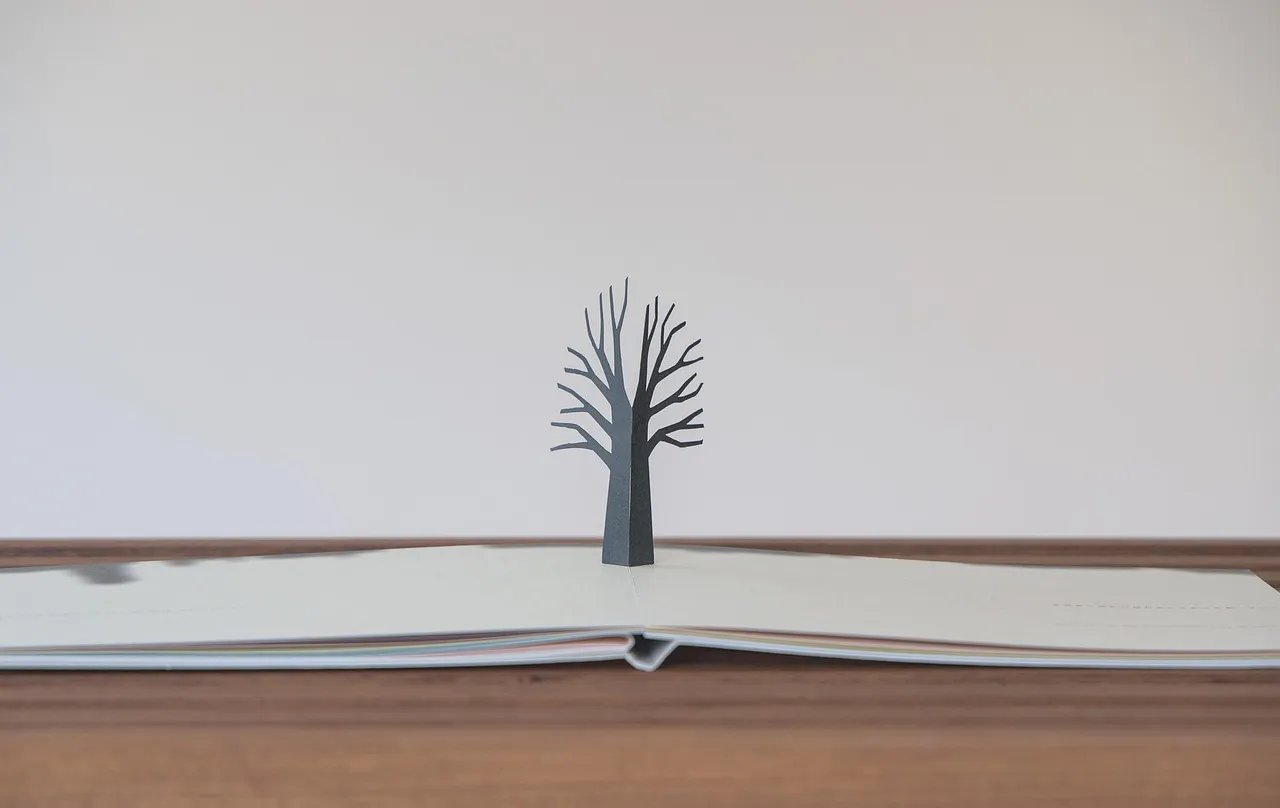 minimalismo libro