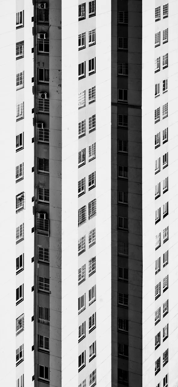 minimalismo documental netflix
