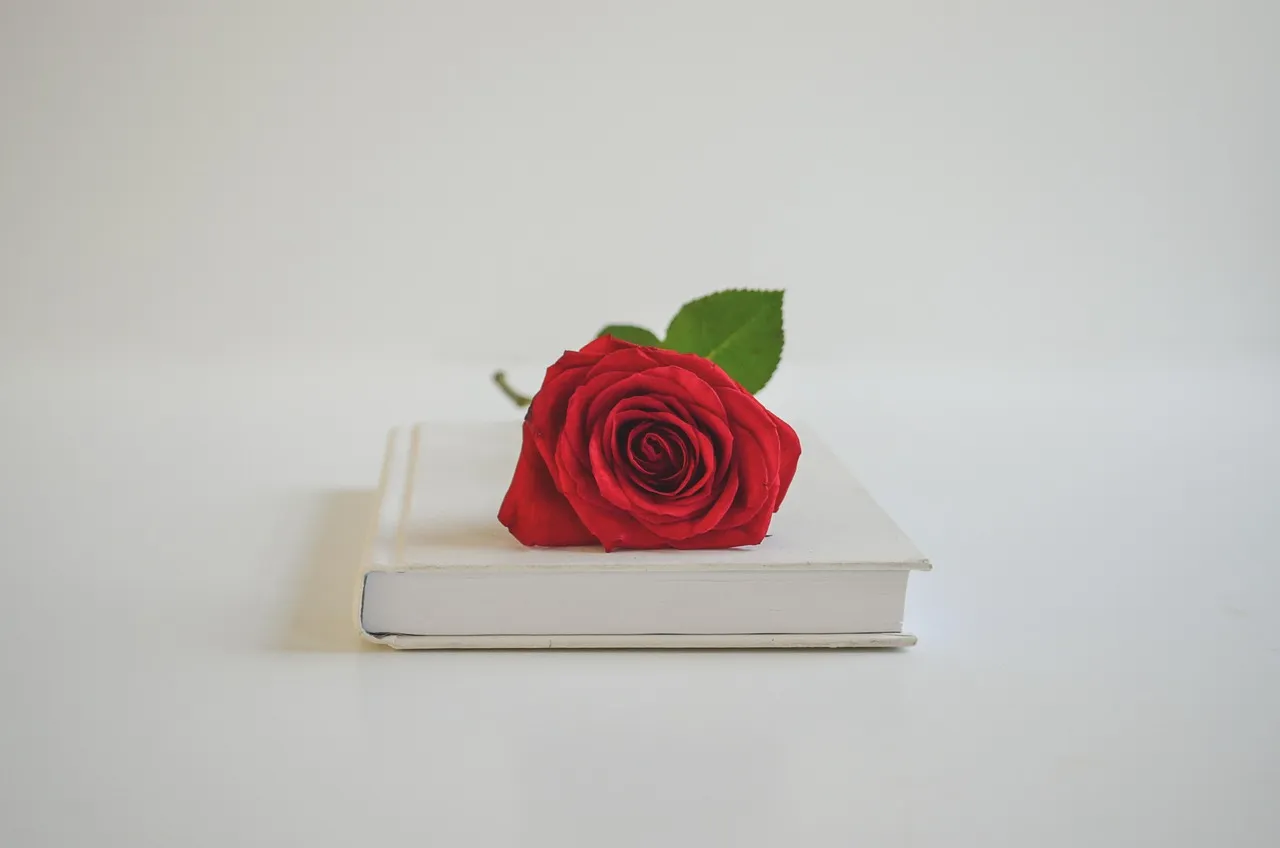 libros sobre minimalismo