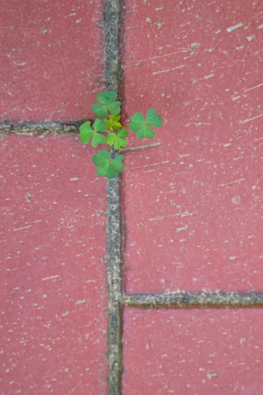 reto minimalista de 30 días